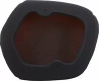 Filtro de aire de recambio en espuma ignífuga TWIN AIR 154224FR