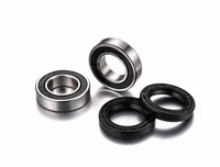 Rodamientos de la rueda FACTORY LINKS FWK-S-055