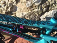 Protección básica para cuadro con gráficos cebra ALL MOUNTAIN STYLE AMSFG1CLZB