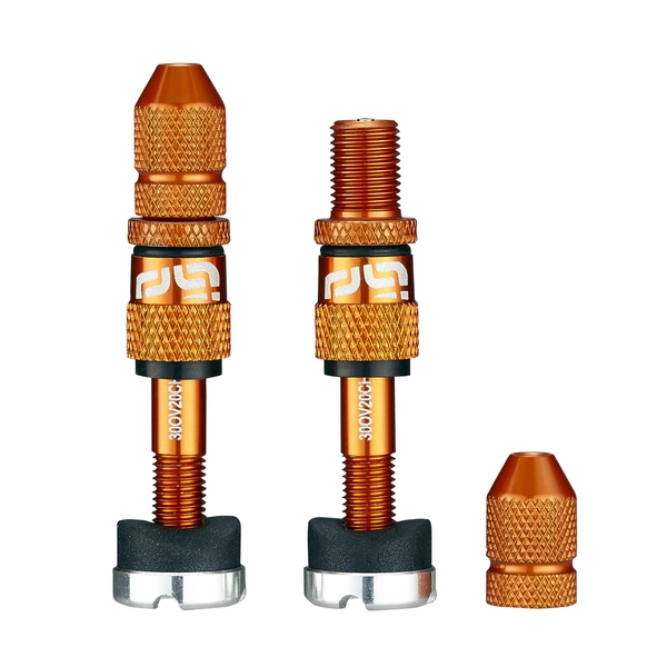Set de válvulas para Tubeless E*THIRTEEN TR2UNA-131