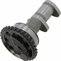 Árbol de levas escape Stage 2 HOT CAMS 4289-2E