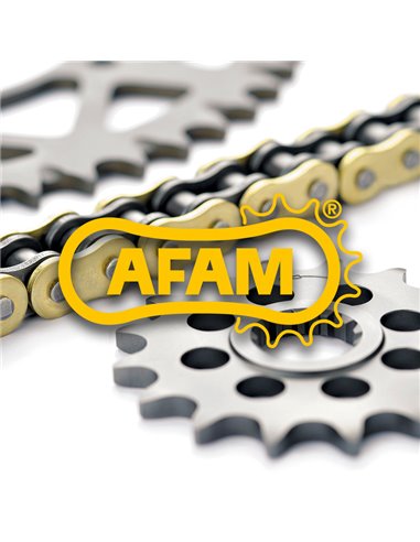 Kit de cadena AFAM 520MR2 13/49 Standard - corona Standard 48011561