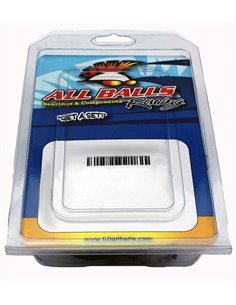 Kit reparación de pinzas de freno ALL BALLS 18-3025