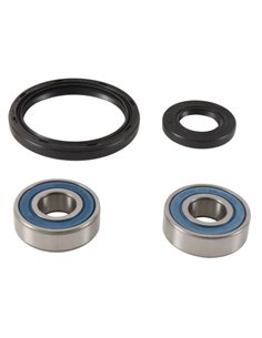 Kit de rodamientos de rueda ALL BALLS 25-1745