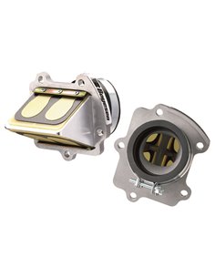 Caja láminas BOYESEN Rad valve RC2 - KTM / Husqvarna RAD-41E