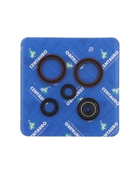 Kit de retenes de motor CENTAURO 731A125SR