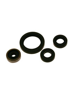 Kit de retenes de motor CENTAURO 731A007SR