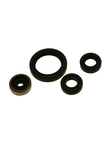 Kit de retenes de motor CENTAURO 731A007SR