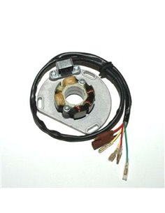 Estátor ELECTROSPORT - KTM ESL235