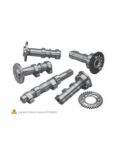 Arbol de levas HOT CAMS - Stage 1 Yamaha YZ450F 4163-1IN