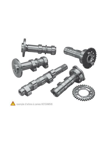 Arbol de levas HOT CAMS - Stage 1 Yamaha YZ450F 4163-1IN