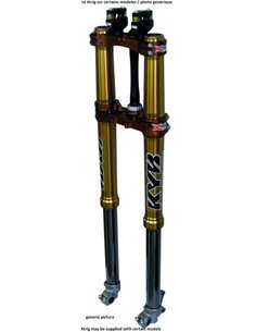 KAYABA 2017 AOS Semi factory Fork - Yamaha YZ-F 162019000501