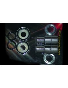 Kit de reparación de basculante PIVOT WORKS CR125R 1989-92, CR250R 1988-91 ET CR500R 1989-01 PWSAK-H05-521