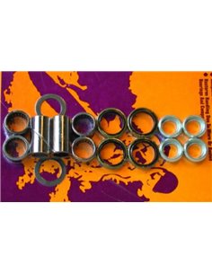 Kit de reparación de basculante PIVOT WORKS POUR KTM SX,MXC,EXC400 / 520 2000-02 PWSAK-T02-540