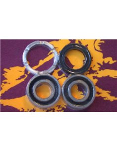 Kit de rodamientos y retenes de rueda trasera PIVOT WORKS PWRWK-H01-521