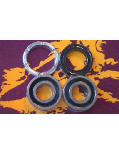 Kit de rodamientos y retenes de rueda trasera PIVOT WORKS PWRWK-H01-521