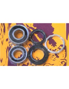 Kit de rodamientos y retenes de rueda trasera PIVOT WORKS PWRWK-H06-520