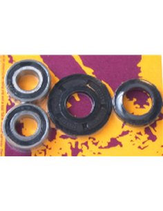 Kit de rodamientos y retenes de rueda delantera PIVOT WORKS PWFWK-H02-521