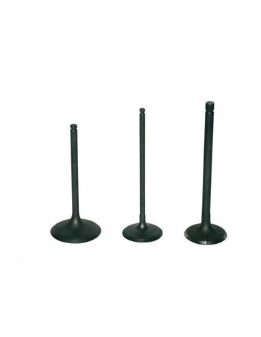 Válvula de escape PROX, titanio 28.6419-1