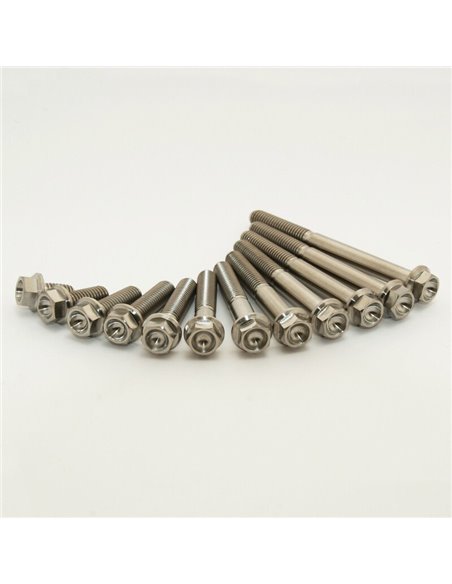 Kit de tornillos de titanio para motor SCAR STIMENGKX450