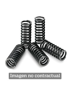 Kit de muelles de embrague TECNIUM SPR0028