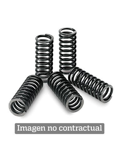 Kit de muelles de embrague TECNIUM SPR0022