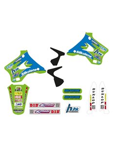 Kit adhesivos TECNOSEL Team Kawasaki 1996 24V01