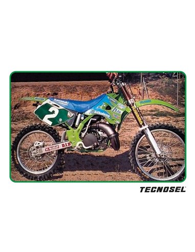 Kit adhesivos TECNOSEL Team Kawasaki 1996 24V01