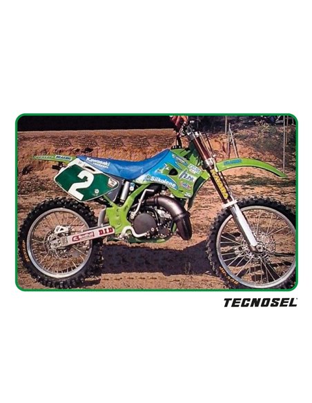 Kit adhesivos TECNOSEL Team Kawasaki 1996 24V01