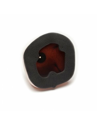 Filtro de aire Twin Air KTM - 154213FR 154213FR