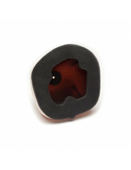 Filtro de aire Twin Air KTM - 154213FR 154213FR