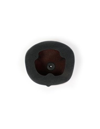 Filtro de aire Twin Air Honda CRF450/250R - 150222FR 150222FR