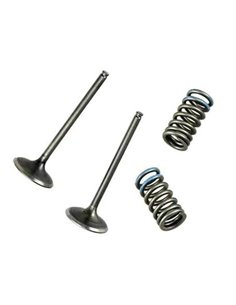 Válvula de admisión WÖSSNER acero - KTM 250 SX-F/EXC-F VKS4003A-INT