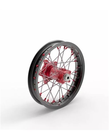 Rueda Elite MX-EN, radios plateados KITE 20.679.0.RO