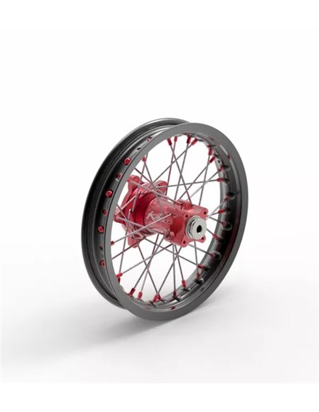 Rueda Elite MX-EN, radios plateados KITE 20.679.0.RO