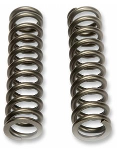 Muelle KYB 110240001001