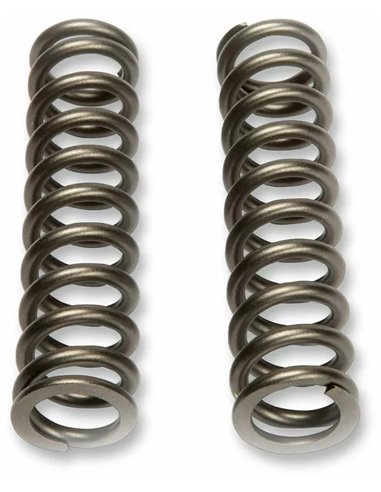 Muelle KYB 110240001001