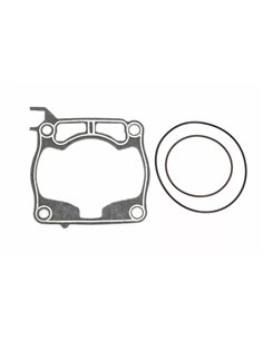 Gasket Base & Head PROX 36.2232