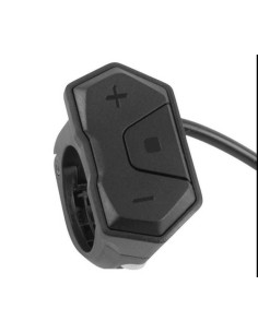 Botonera display TFT POLINI...