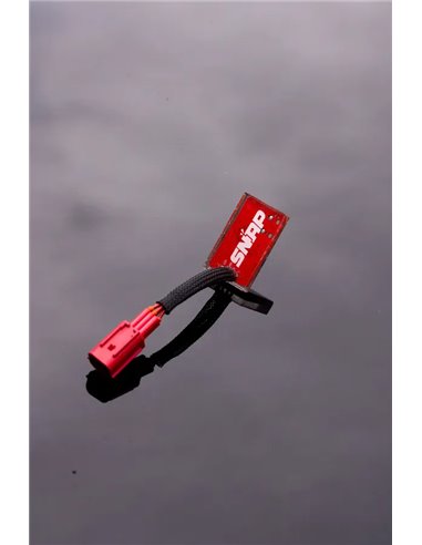 SNAP RBW SKULL SN25KAW0000