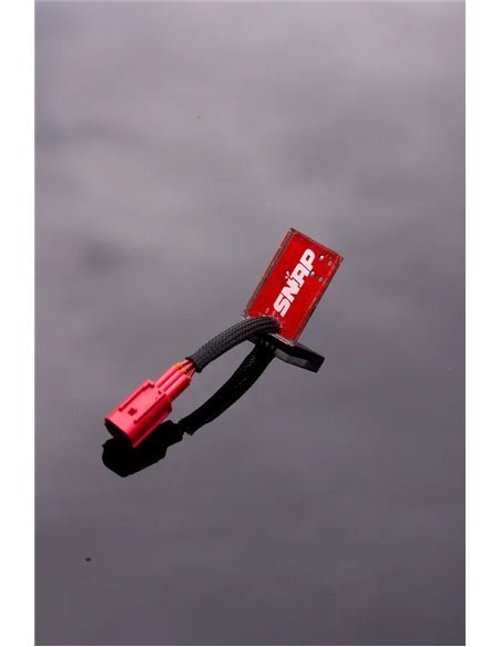 SNAP RBW SKULL SN25KAW0000