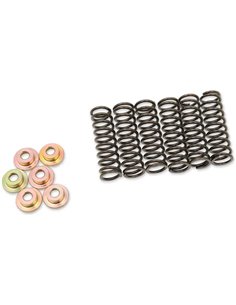Kit de resortes de embrague BARNETT 505-42-06031