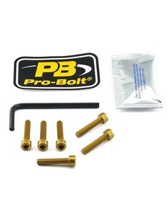 Kit tapón de depósito en aluminio PRO BOLT TBMWG
