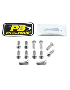 Kit de tornillos de montaje de disco de freno de titanio PRO BOLT TI12DISCBMW002