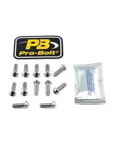 Kit de tornillos de montaje de disco de freno de acero inoxidable PRO BOLT SS12DISCBMW002
