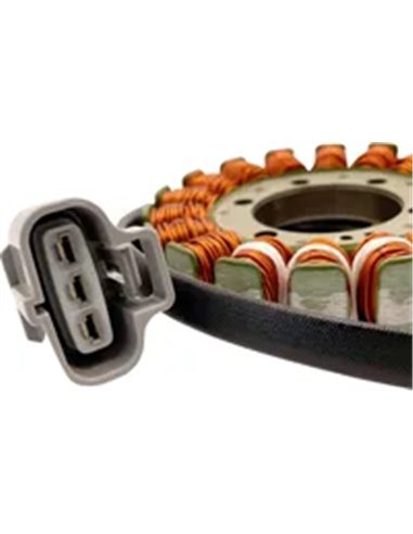 Estátor Hot Shot RICK'S MOTORSPORT ELECTRIC 21-0094H