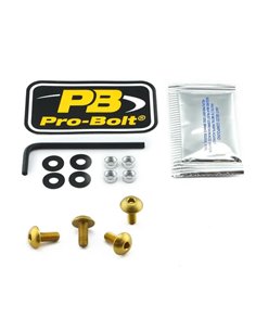 Kit de herrajes de aluminio para pantalla PRO BOLT SK410G