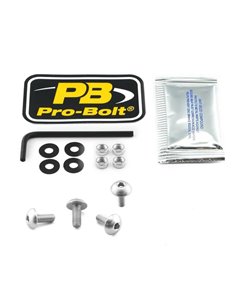 Kit de herrajes de aluminio para pantalla PRO BOLT SK410S