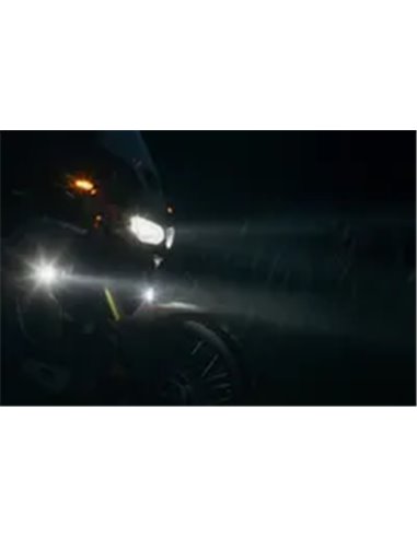 Luces antiniebla EVO SW-MOTECH NSW.04.004.51200/B