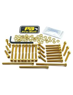 Kit de tornillería de motor en aluminio para KTM PRO BOLT EKTM510G